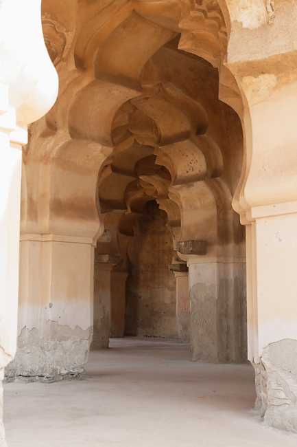 Hampi-Palais du lotus-015